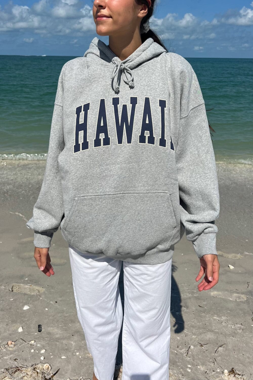 Hawaii Hoodie | Grey / Oversized Fit
