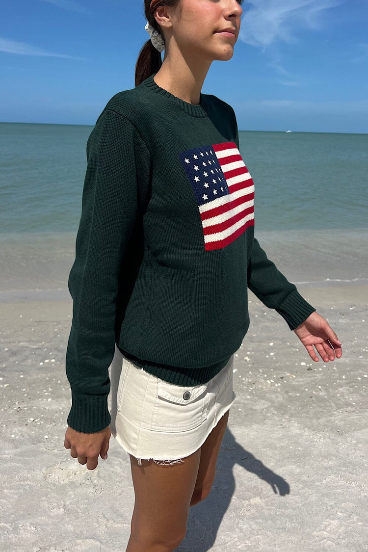 Nico American Flag Sweater | Dark Green / Regular Fit