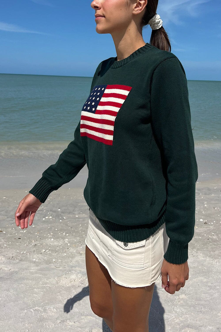 Nico American Flag Sweater | Dark Green / Regular Fit