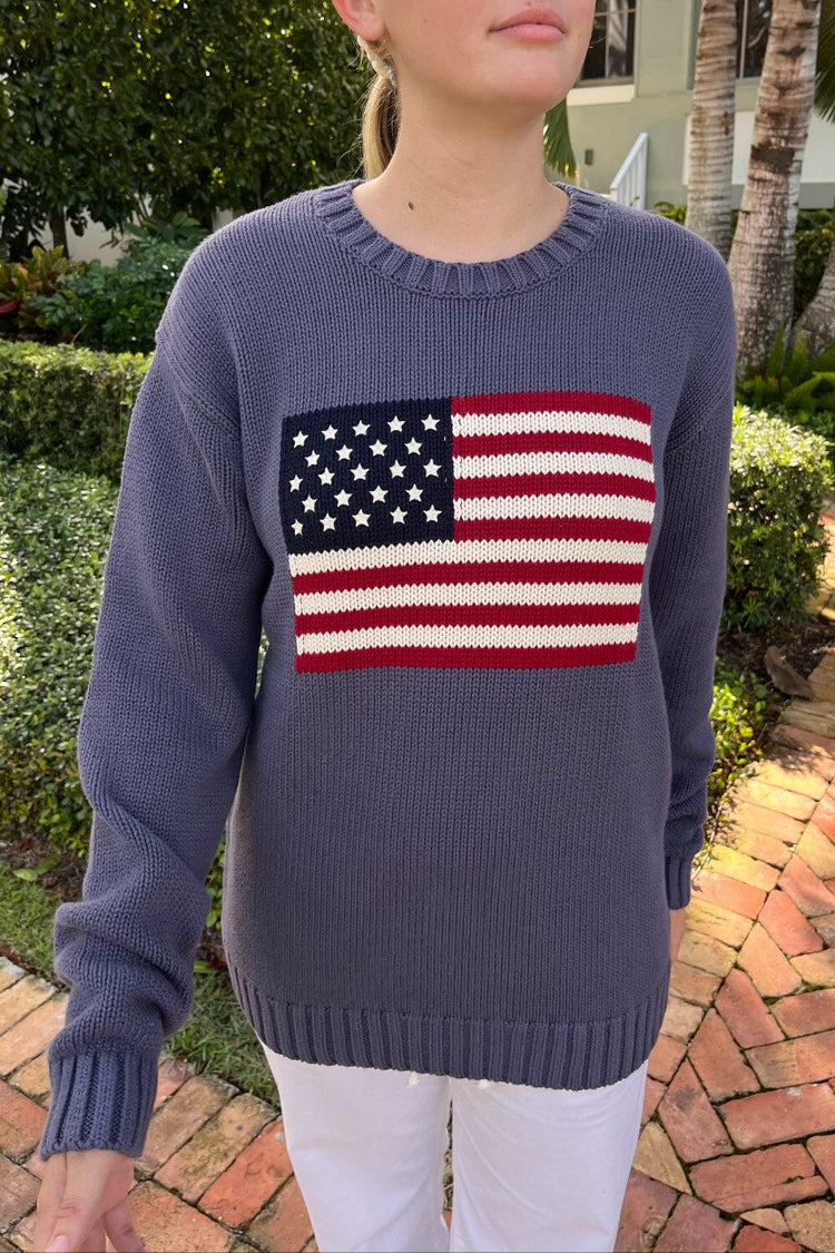 Nico American Flag Sweater | Faded Blue / Regular Fit